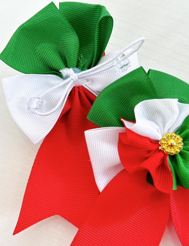 SET DE MOÑO PATRIO (6 PIEZAS) V2 – Frida Joyería